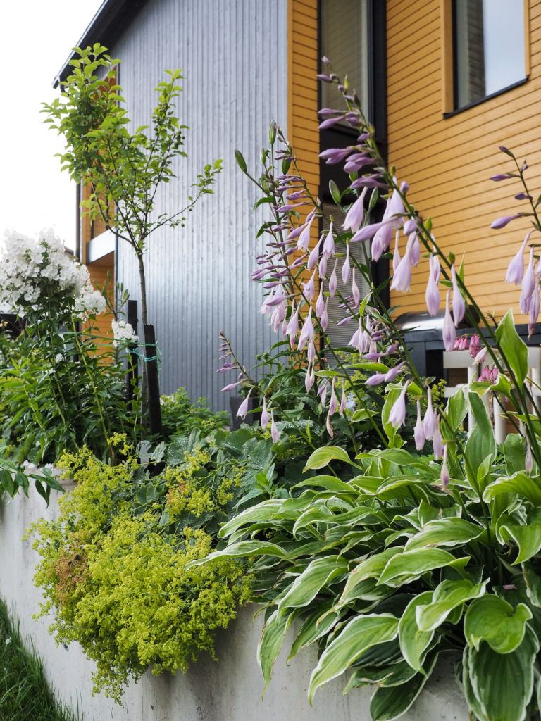 Uudiskohteen piha, terassi ja istutukset, Porvoo