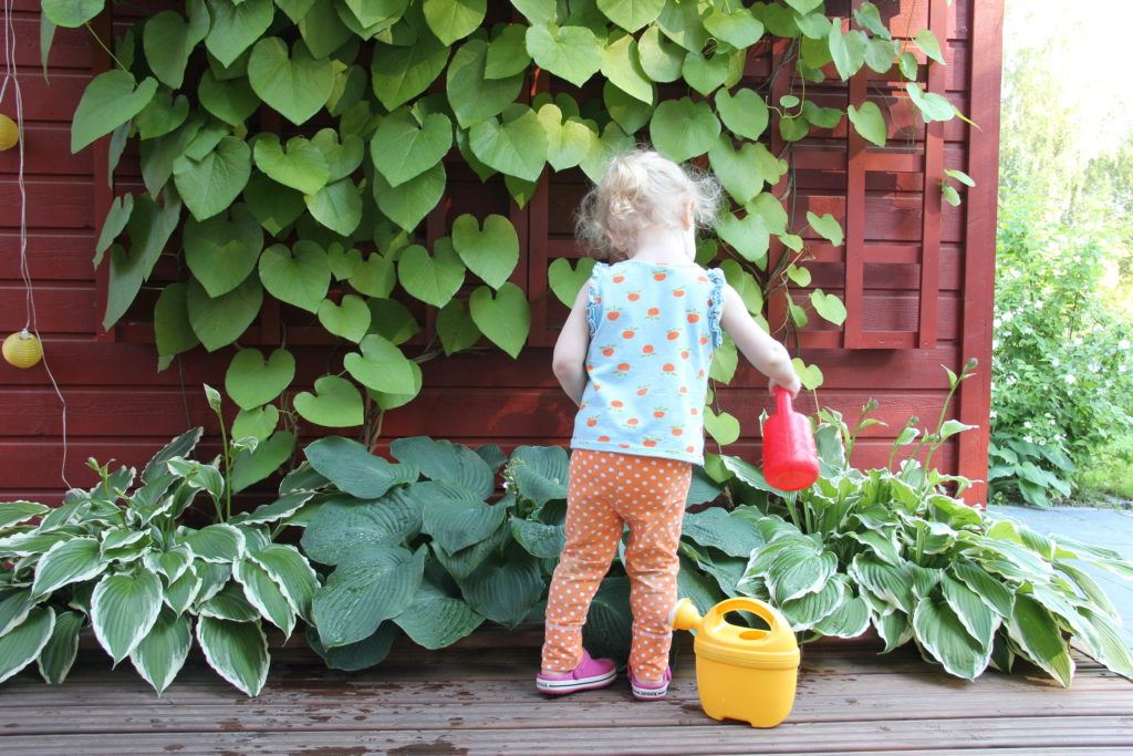 Uudiskohteen piha, terassi ja istutukset, Helsinki