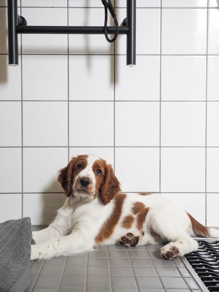 Sisällöntuotanto: REJ Design